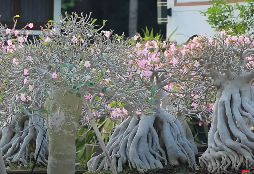 New technology is not good or evil in and of itself